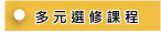 多元選修課程